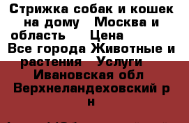 Стрижка собак и кошек на дому.  Москва и область.  › Цена ­ 1 200 - Все города Животные и растения » Услуги   . Ивановская обл.,Верхнеландеховский р-н